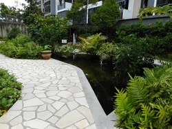 The Rainforest (D23), Condominium #188037312